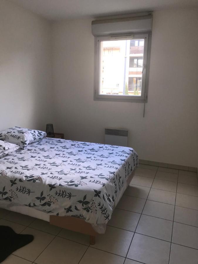 טולוז Appartement Entier T2 Avec Piscine Paradis Entierement Meuble Proche Metro מראה חיצוני תמונה