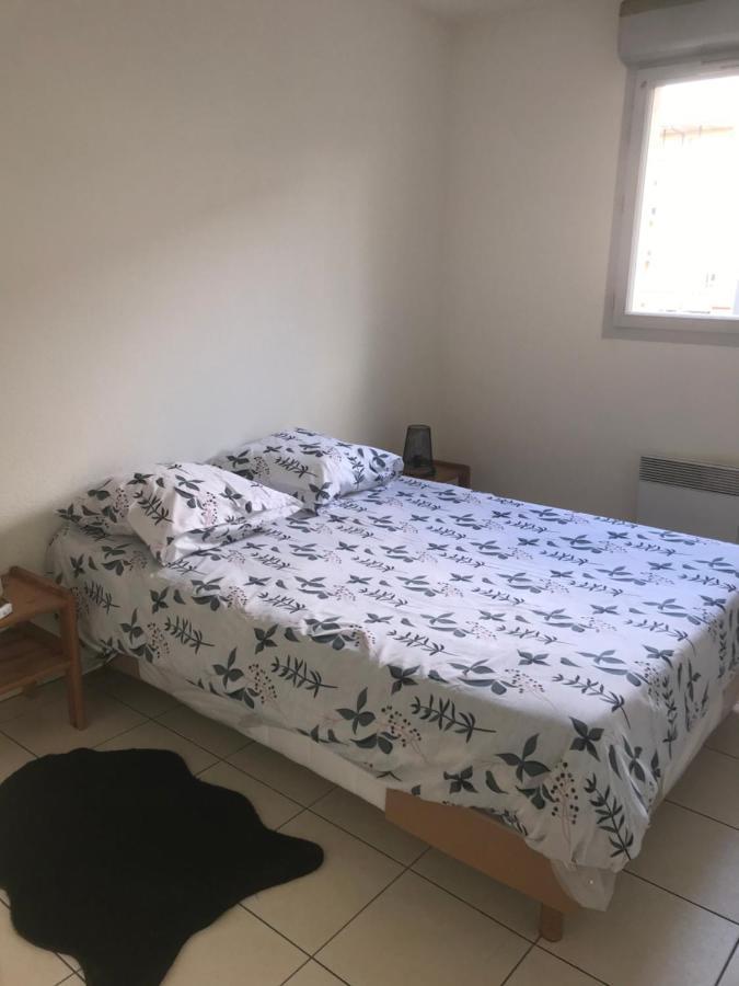 טולוז Appartement Entier T2 Avec Piscine Paradis Entierement Meuble Proche Metro מראה חיצוני תמונה