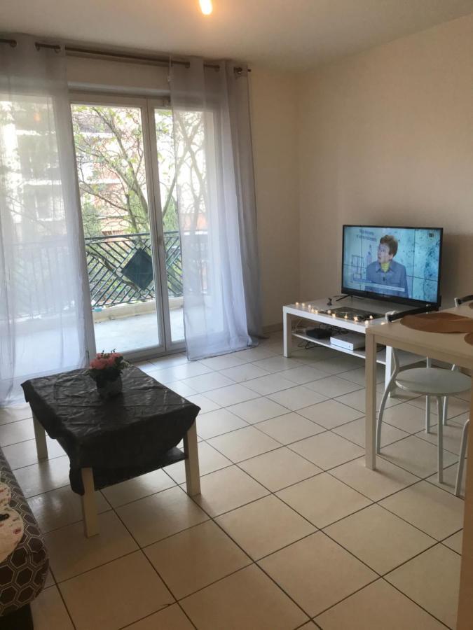 טולוז Appartement Entier T2 Avec Piscine Paradis Entierement Meuble Proche Metro מראה חיצוני תמונה