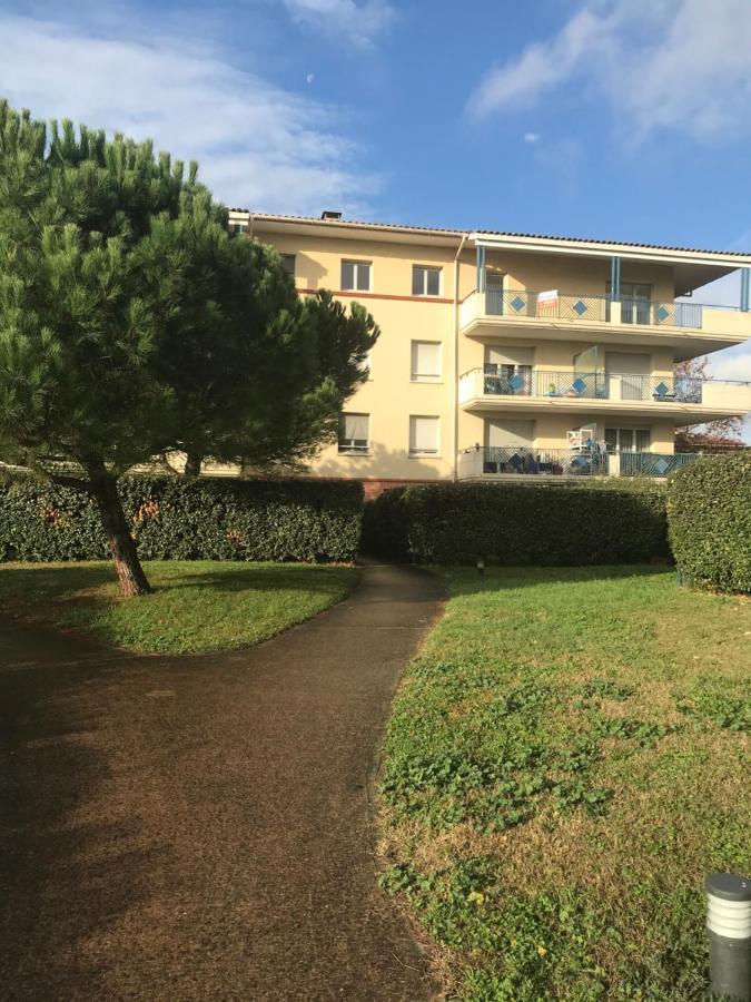 טולוז Appartement Entier T2 Avec Piscine Paradis Entierement Meuble Proche Metro מראה חיצוני תמונה