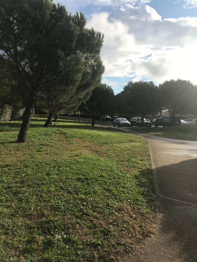 טולוז Appartement Entier T2 Avec Piscine Paradis Entierement Meuble Proche Metro מראה חיצוני תמונה